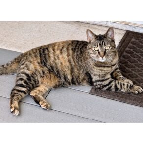 9c998b087089753e0722628f456b9c4e