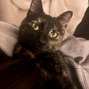 9d33487e9c787f9a2110778b5d70b43f