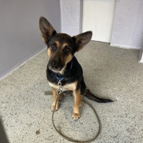 9d7e0f86849f2ffdaafdeb4fe4debbb6