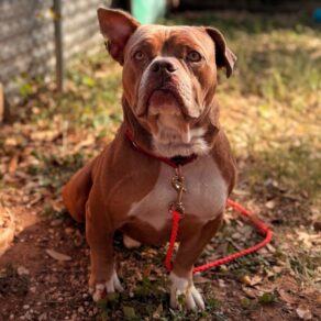 9fccb24a05a67d24b41179a1e0ca1180