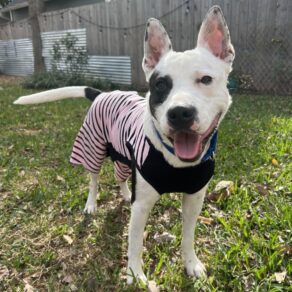 A0e92982582cbd7f8a43c1971d416866