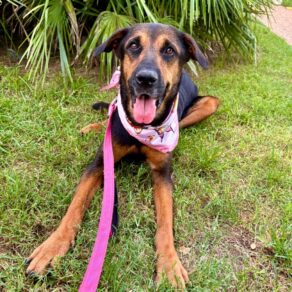 A36356211cb0bf5a236731ec16cb823c