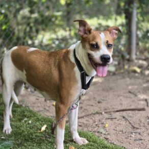 A45f8662724a5c2b7c924e7d576672f2