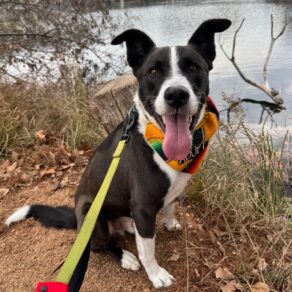 A5077398abb26984715007e16f569e05