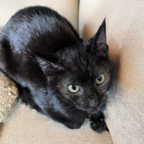 A5522a08a7bfd16021c1b870421ebb32