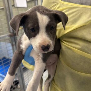 A63177e882cb0b28b0471af0f14d5307