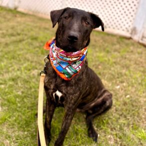 A6bbe89887af9f552f609e75e52e2301