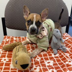 A7234c1011bbea23f14a759157224c3f