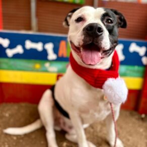 A84a88fef124b800828eb21443d90e27