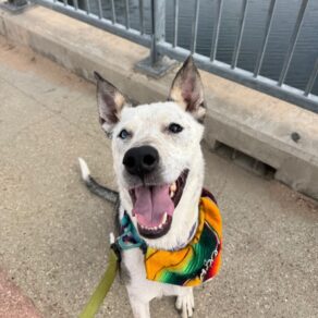 A895e3f3e7d17a543a31023bb6e3d87b