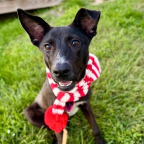 A90595758b75b5646809a35b27e32623