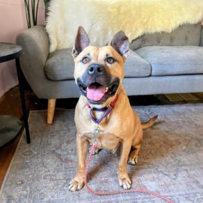 A95fc46a228bf5747710e19f49f4f55a