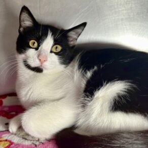 Ab45b77c7b549a1cf89a0e12a42a0334