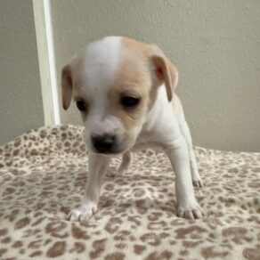 Aba75fc207fa1bc4b2def069f9209571