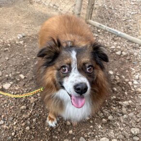 Acd4934eb0a3214dbecd55da30ab1741