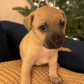 Adfc06bed09ff3f5fc6769768e6cafda