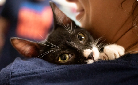 Adopter Resources Thumb