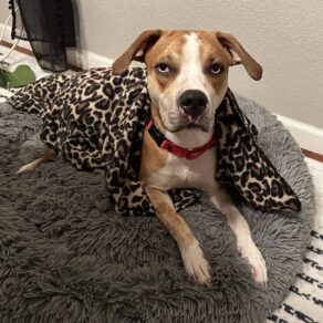 B1ed4ade9ab5a9bf7f7085cf7482f3f1