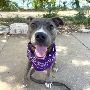 B2e2c38e7e6b4464f65861bc2978eff8