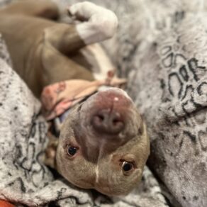 B3024793ced3e68260ecf173a9a95f95