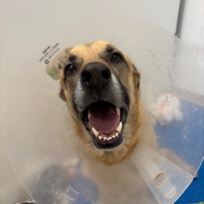 B404efcc669bb4b515d10e8369d3d503