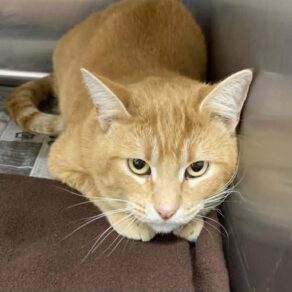 B48b6defc5b8864eae50b1ba26104fa5