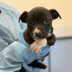 B502151863abe86c6c0af607743ac9e6