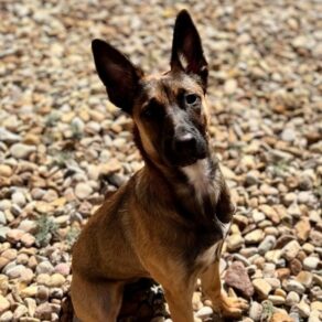 B5ef41cfebec8c7d682c719aa4a8e6d1