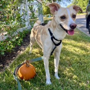 B64dd3fd71703951e3b12a1a68a284d9