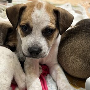 B6535296fcae7b253b22830ff5a94a97