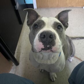 B726819c65a602ba8da7d997ac7ec968