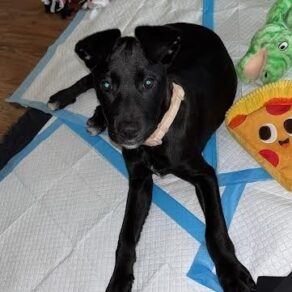 B779327e9877385da1ca0470abd73c90