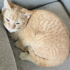 B88252913577aeed6975bffeceb524c4