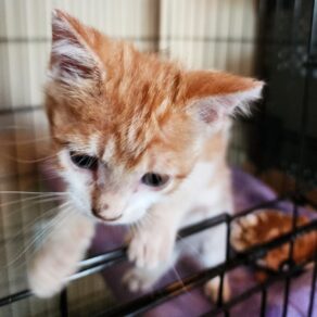 B8a4c1fc7bf748724d65e2a4192df819