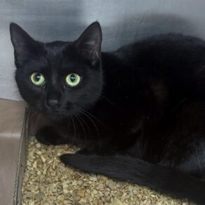 B9e1c2365b3b8401718ff948fc83588d