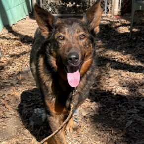 B9e38324b7d2b89c9e54b9253f9609aa