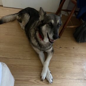 Ba15143adc715dc519ca1d37f1967f4c