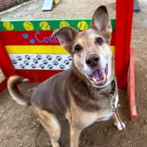 Bccd7bb152aaf5a9f37f5a47414e5718