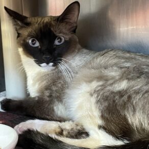 Be0914f2d9c0e8d463303785e7b76ad7