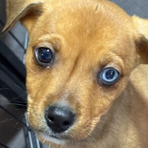 Bff3eefb45430730aa85a6d7e985943f