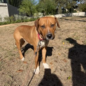 C37807ed882581c93362534122cb90f3