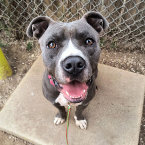 C45a20a79f59f2da692d51320c791b01