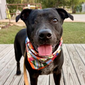 C5dd380e1192d7f6b22117606e0fda4d