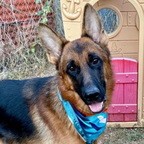 C60dbcfe0cc7a471640be3aa7a380938