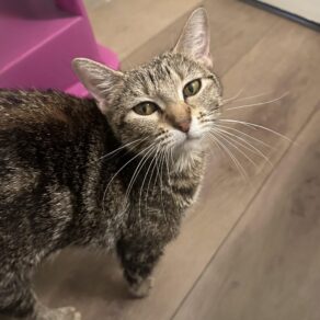 C7b57aa4aaab2aebae98d3f9496054b1