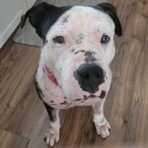 C7d4bb40175287e8db58bd63f0309fc7