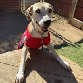 C8e095cebc7b004692607d5bf0e8a6bb