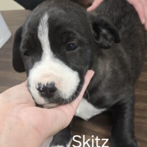 C9b7f251298efe3a441112109d76fd0f