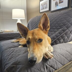 Cb71a2b0821ec05d019b022b650029b4