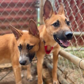 Cbc5657af553102c18d17a6da0561a6b